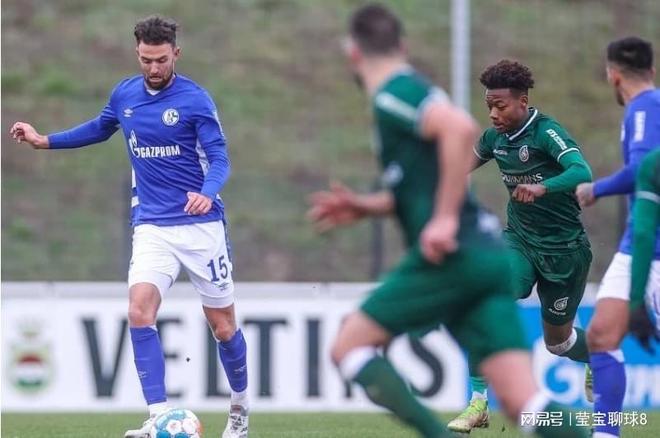 西海岸的多 西海岸的多